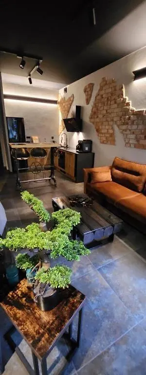 Luxury Old Town Apartments , Gym, Sauna & Swimming Pool ,Hammock, Free Parking! Kraków Polen