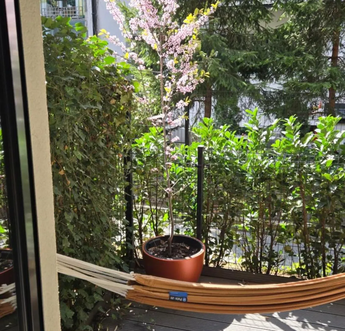 Luxury Old Town Apartments , Gym, Sauna & Swimming Pool ,Hammock, Free Parking! Kraków 0*,